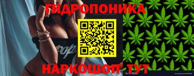 МДПВ Лесосибирск