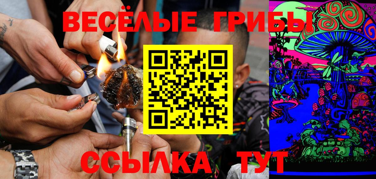 Балтийск  цены   Вход с VPN  Галлюциногенные грибы Psilocybine cubensis 