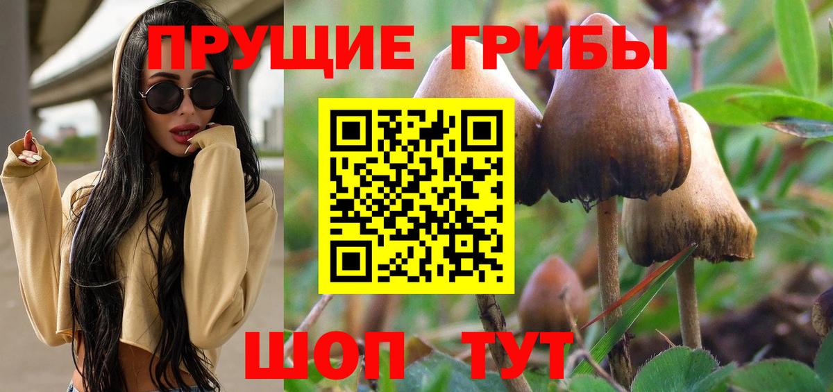 Псилоцибиновые грибы ЛСД Балтийск